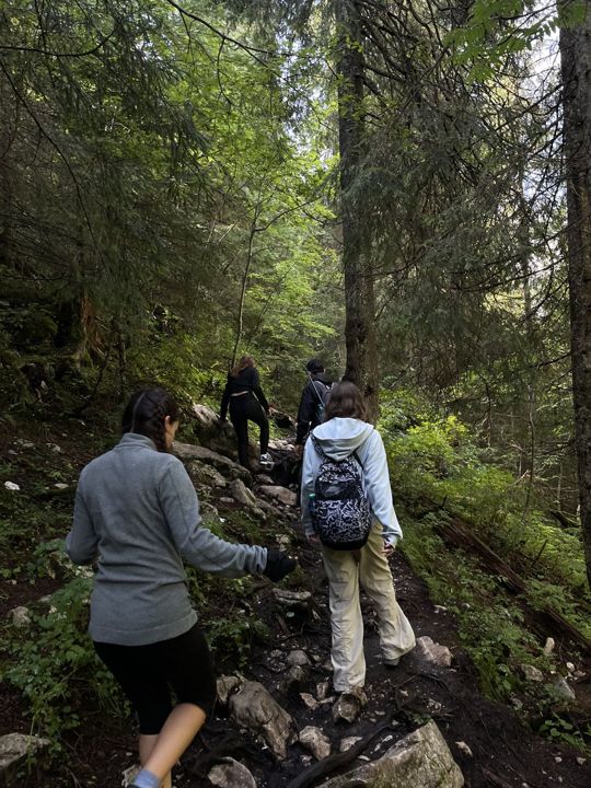 People walking along a forest trail